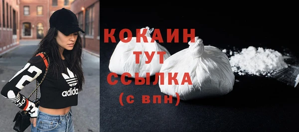 сатива Карталы
