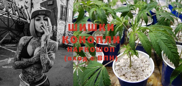 сатива Карталы