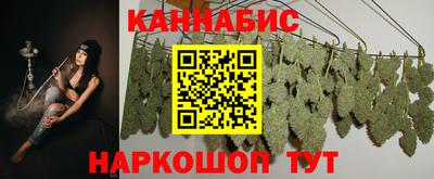 сатива Кандалакша