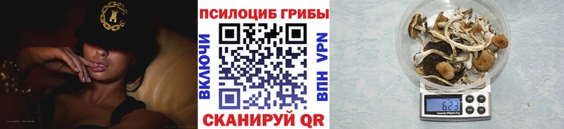 Псилоцибиновые грибы мухоморы  Жуковский 