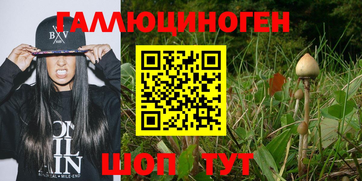 Псилоцибиновые грибы Psilocybe Жуковский