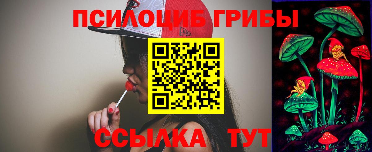 Галлюциногенные грибы Psilocybe  Жуковский 