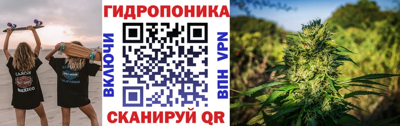 магазин  наркотиков  darknet наркотические препараты  Шишки марихуана семена  Жуковский 